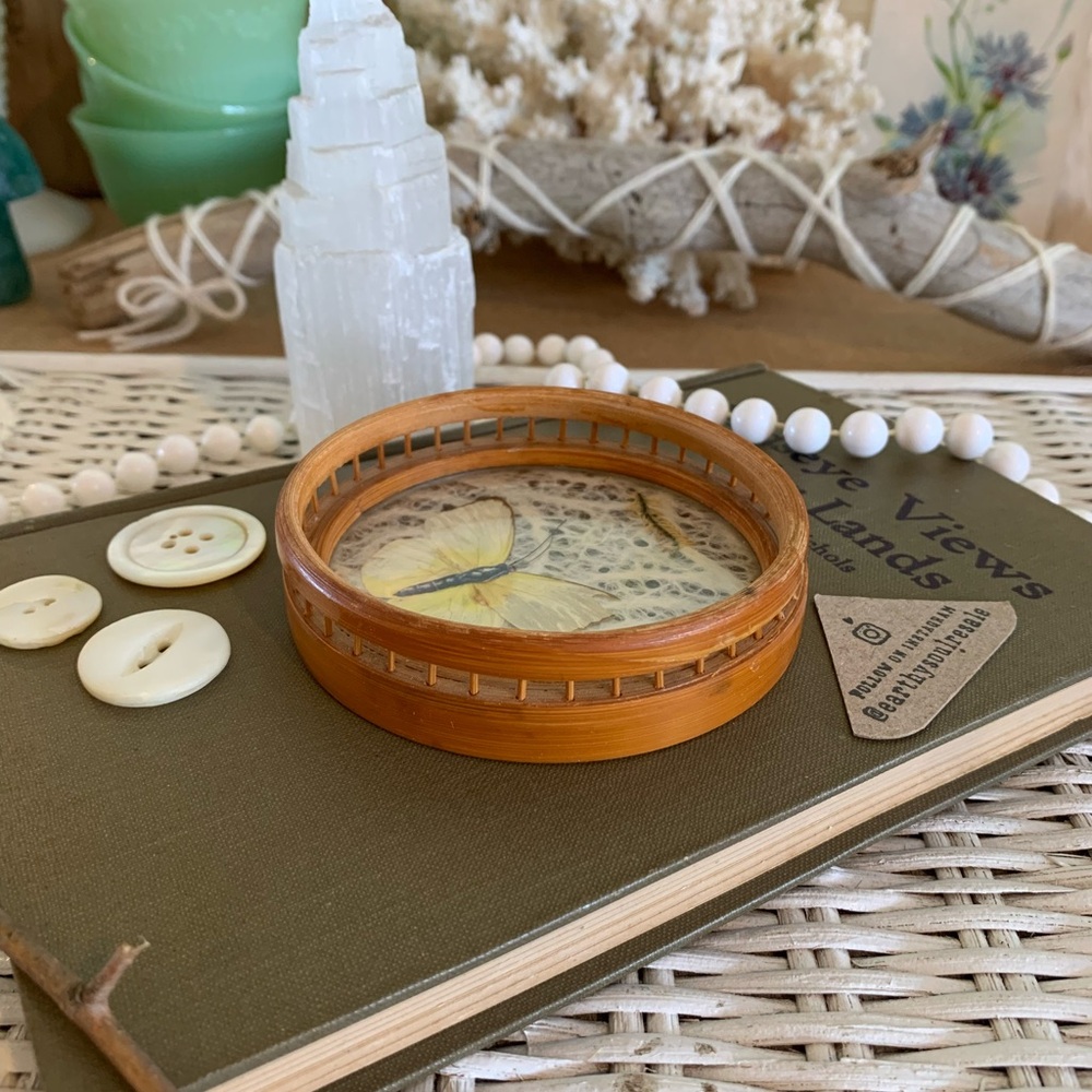 Vintage Butterfly Coaster 🦋 Unique Home Decor / Gift / Retro / Nature / Table - Picture 4 of 7